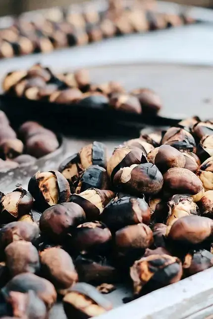 Datos sobre los alimentos