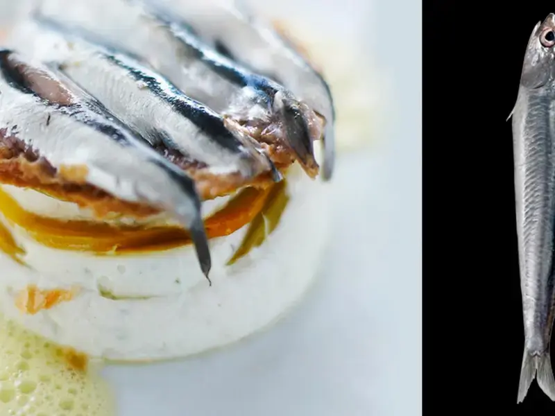 Anchoas