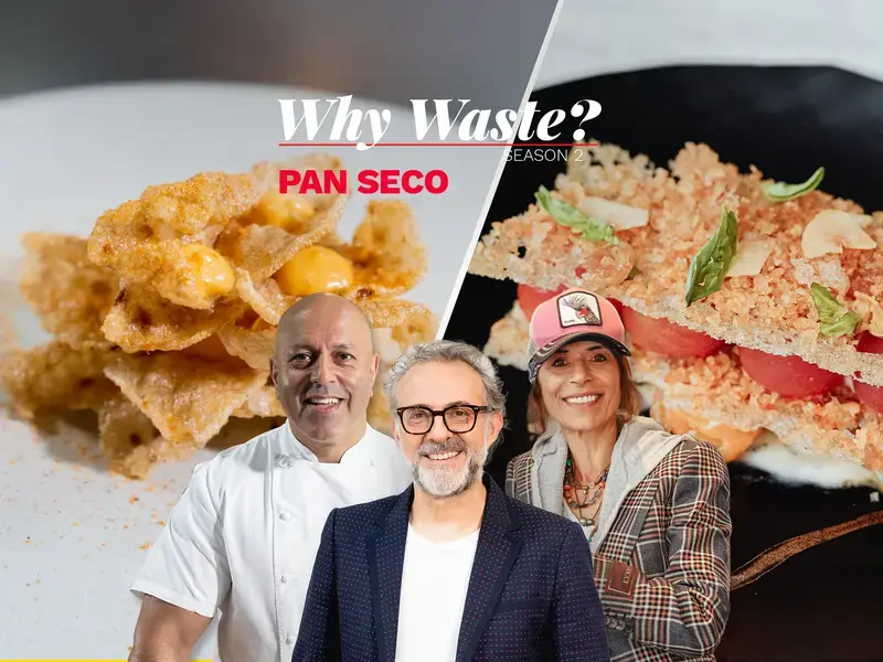 Why Waste? 2 Pan seco