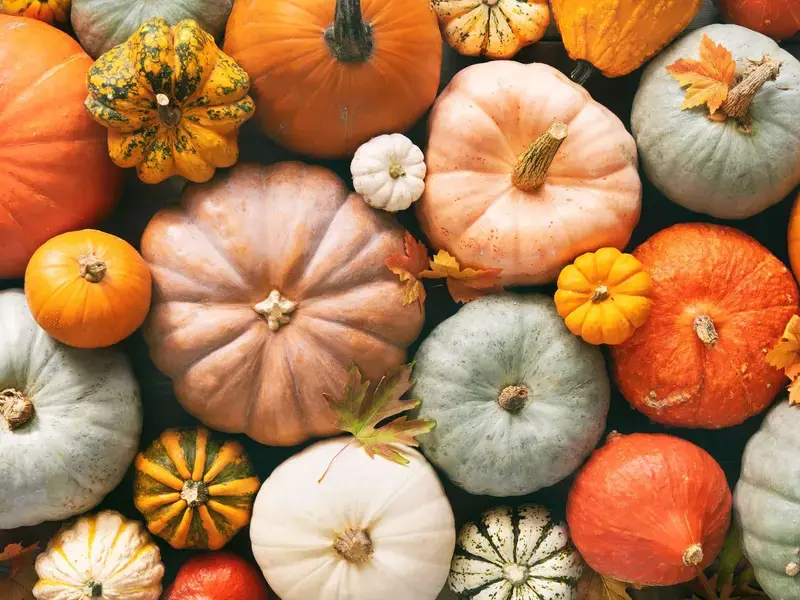 calabaza