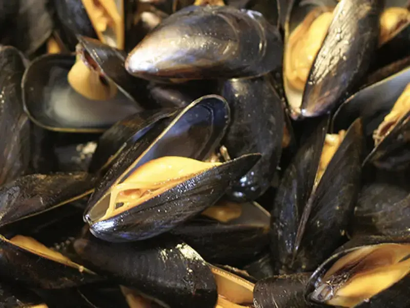 Mejillones