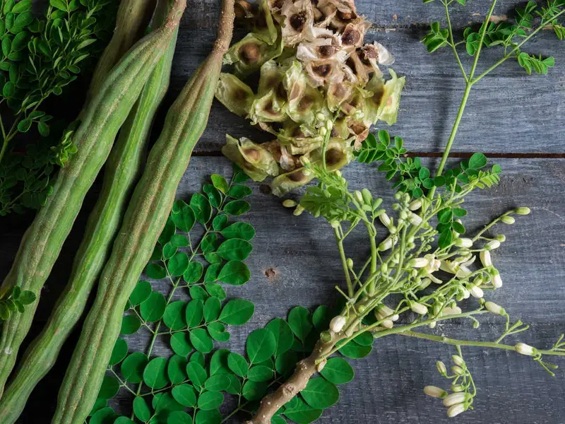 Propiedades de la moringa - Fine Dining Lovers