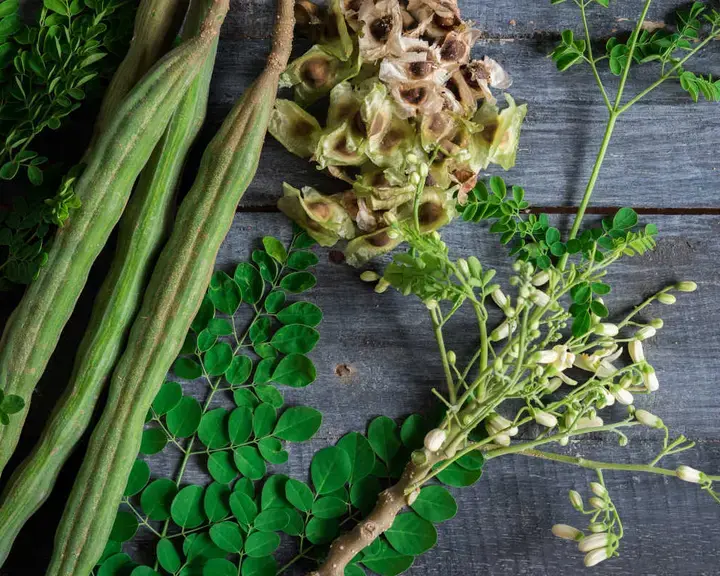 Propiedades de la moringa - Fine Dining Lovers