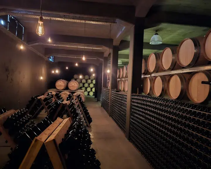 Kaiken Ramos Generales By Francis Mallmann