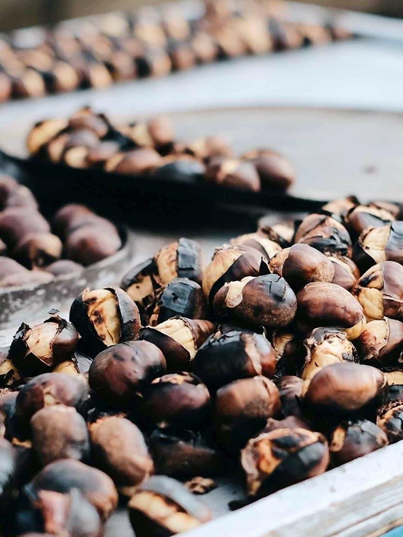 Datos sobre los alimentos