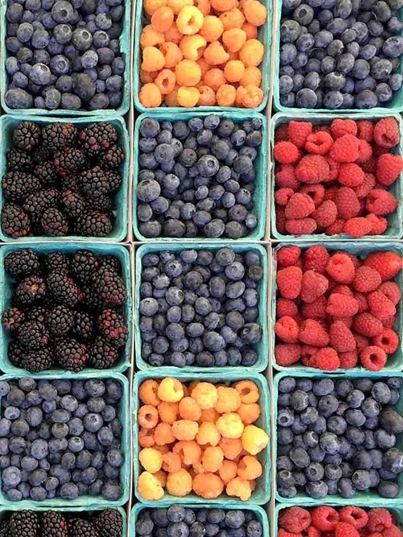 Infografías alimentarias