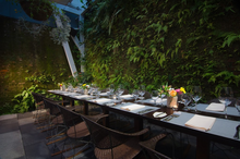 Restaurante Silvestre